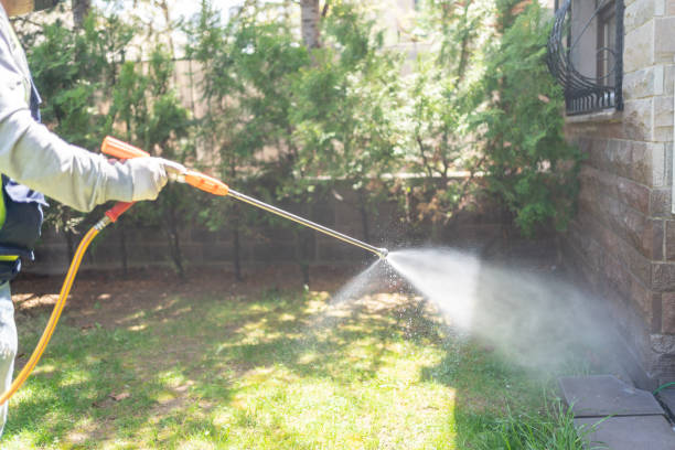 Best Pest Removal Services  in USA